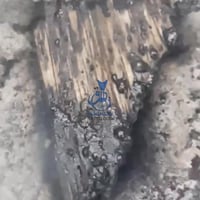 عود ارياني حي طبيعي غابات