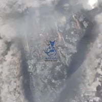 عود ارياني حي طبيعي غابات