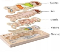 بازل أجهزة الجسم