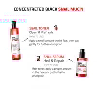 مجموعة روتين الحلزون المركز