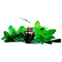 زيت عطري لرائحة النعناع