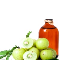 زيت املا المركز