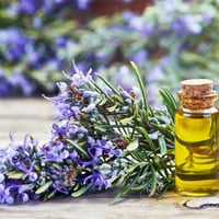 زيت عطري لرائحة إكليل الجبل