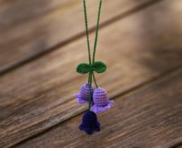 علاقة سيارة