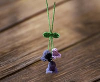 علاقة سيارة