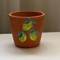 اصيص نبات فخار مرسوم عليه