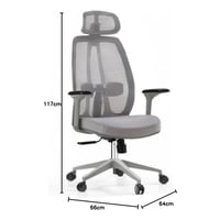 كرسي مبطن OS03