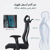 كرسي مبطن OFS05