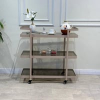 عربة ضيافة مودرن شمباني