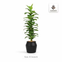 شجرة ورق موز اصطناعية كبيرة بمركن بلاستيك جرة