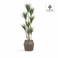 شجرة صبار أخضر اصطناعي (8 فروع) بمركن بلاستيك جرة...