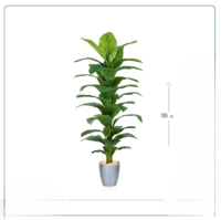 شجر صناعي سطل 155 سم عدة ألوان