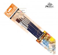 طقم 5 فرش من فونكس للإكريليك والمائي