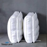 مخدة بلاتينيوم طبقتين ناعمة وزن 1500 غ