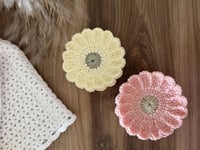 كوستر دوار الشمس