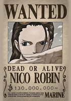 Wanted - robin (4)