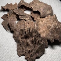 عود تشار فيتنامي مميز