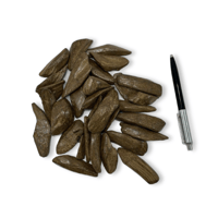 عرض ١٠٠ قرام كسر مباخر كبير