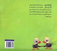 لما طارت السلحفاة