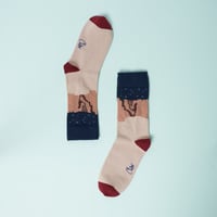 جبال القارة