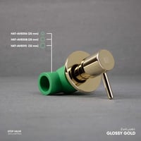 صمام رئيسي حراري ( محبس رئيسي ) AVE006