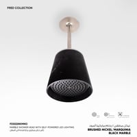 رأس دش مطري سقفي مع اضاءة Fred​ - FDS02