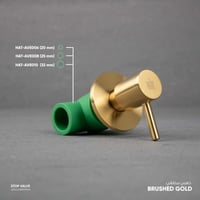 صمام رئيسي حراري ( محبس رئيسي ) AVE006