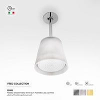 رأس دش مطري سقفي مع اضاءة Fred​ - FDS02