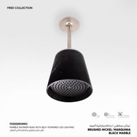 رأس دش مطري سقفي مع اضاءة Fred​ - FDS02