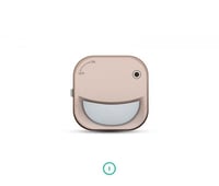 وردي ذهبي