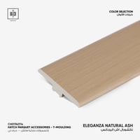 اكسسوار باركية اليجانس حرف تي