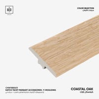 اكسسوار باركية هاتش تاسيت حرف تي