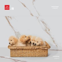 بورسلان من مجموعة Denarius (للارضيات والجدران)