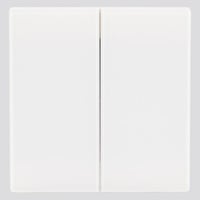 مفتاح ثنائي