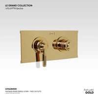 خلاط دش ثنائي الاتجاه مخفي Le Grand - 14L863