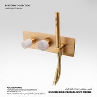 خلاط شاور ثنائى الاتجاه مخفي مع سماعه شاور متحركة...