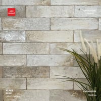 سيراميك من مجموعة Alpes للجدران