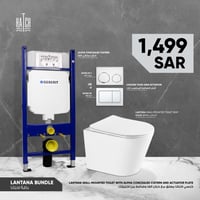 باقة كرسي لانتانا مع خزان الفا وضاغط Lantana Bundl...