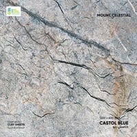 صفائح فومي الطينية