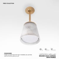 رأس دش مطري سقفي مع اضاءة Fred​ - FDS02