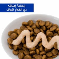 إنابا تشورو مكافآت للقطط هريسة الدجاج 20 × 14 جم