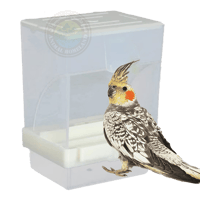 مأكلية ذكية أوتوماتيكية للطيور والببغاوات الصغيرة...