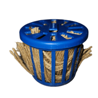 خيوط تعشيش الزيبرا والكناري