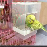 مأكلية ذكية أوتوماتيكية للطيور والببغاوات الصغيرة...