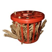 خيوط تعشيش الزيبرا والكناري