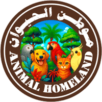 store avatar