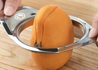 بشارة المانجو