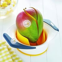 بشارة المانجو