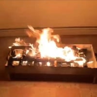 فحم برية بوزن 5 كيلو