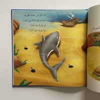 حين يشارك القرش